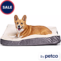EveryYay Essentials Lounger Dog Bed