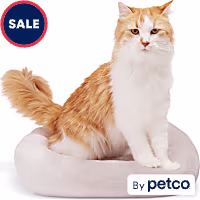 EveryYay Gray Rectangle Lounger Cat Bed