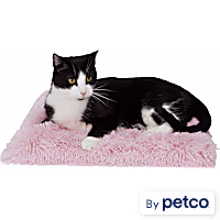 EveryYay Pink Fuzzy Fur Solid Cat Bed