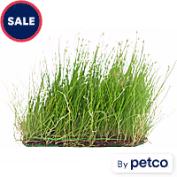 Grass Mat