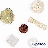 EveryYay Toy Bundle for Small Animals