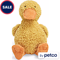 Leaps & Bounds Plush Duck Dog Toy