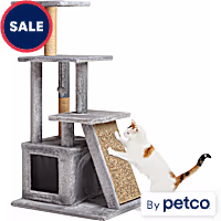 EveryYay Cozy Condo 4-Level Cat Tree with Ramp for Large Cats