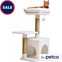 EveryYay Cozy Condo 2-Level Cat Tree