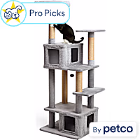 EveryYay Cozy Condo 6-Level Cat Tree for Large Cats