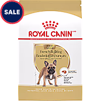 Royal Canin Breed Health Nutrition French Bulldog Adult Dry Dog Food