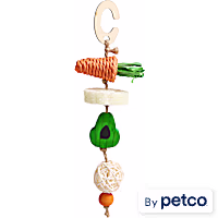 EveryYay Veggie Skewer-Shaped Small Animal Chew Toy