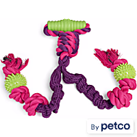 Leaps & Bounds Bungee Dual Rope with Handle Tug Dog Toy