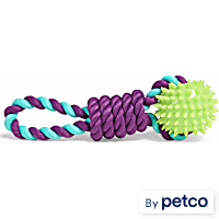 Leaps & Bounds Spiney Rope Chew & Tug Dog Toy