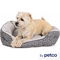 EveryYay Snooze Fest Grey Rectangle Nester Box Dog Bed