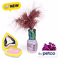 Leaps & Bounds Makeup 3-Piece Cat Toy Set