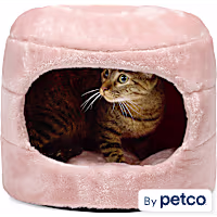EveryYay Honeycomb 2-in-1 Convertible Cat Bed