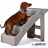EveryYay Folding Plastic Pet Steps