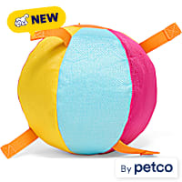 Leaps & Bounds Beach Ball with Grab Tabs Dog Toy