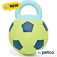 Leaps & Bounds Green Soccer Ball with Handle Dog Toy