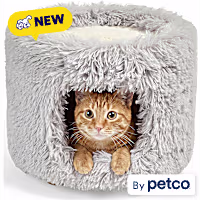 EveryYay Fluffy White Cat Condo