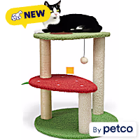 EveryYay Fruit Novelty 2-Level Cat Tree
