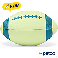 Leaps & Bounds Floating Football Dog Toy