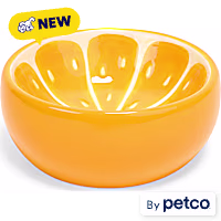 EveryYay Orange Slices Ceramic Cat Bowl