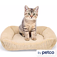 EveryYay Corduroy Rectangle Step-In Cat Bed