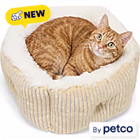 EveryYay Square High Wall Cat Bed