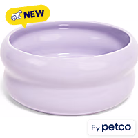 EveryYay Purple Ceramic Bubble Dog Bowl