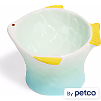 EveryYay Fish Ceramic Pedestal Cat Bowl