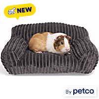 EveryYay Couch Small Animal Bed