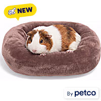 EveryYay Rectangle Bolster Small Animal Bed