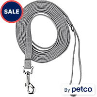 EveryYay Settin' the Pace Recall Training Leash for Dogs