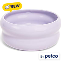EveryYay Purple Ceramic Bubble Dog Bowl
