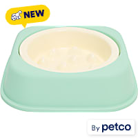 EveryYay 2-in-1 Nesting Bowl and Slow Feeder Dog Bowl Set