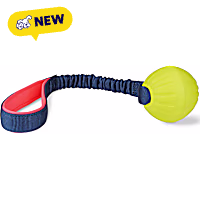 Coachi Tuggi Ball for Dogs