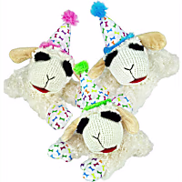 Multipet International Lamb Chop Birthday Assorted Dog Toy