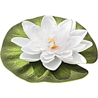 Blagdon Aquagarden White Floating Water Lily Single