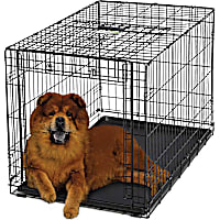 Midwest Ovation Single Door Folding Dog Crate