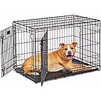Midwest Lifestages Double Door Fold & Carry Crates for Dogs