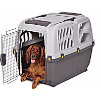 Midwest Skudo Plastic Travel Carrier for Dogs