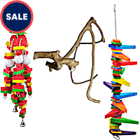 A&E Cage Company Starter Bundle for Large Birds