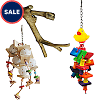 A&E Cage Company Starter Bundle for Small Birds