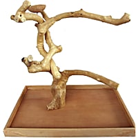 A&E Cage Company Java Wood Table Top Play Stand