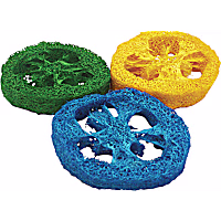 A&E Cage Company Nibbles Loofah Slices Small Animal Treats