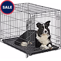 Midwest iCrate Single Door Folding Dog Crates