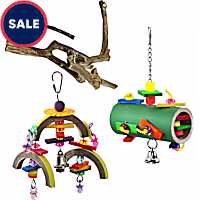 A&E Cage Company Starter Bundle for Medium Birds