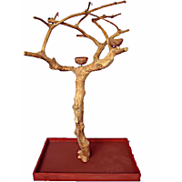 A&E Cage Company Small Java Wood Boxed Tree