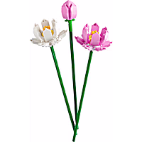 LEGO Iconic Lotus Flowers  40647 Building Toy Set