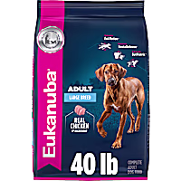 Eukanuba Adult Large Breed Chicken Flavor Dry Dog Food