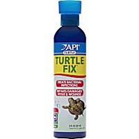 API Turtle Fix