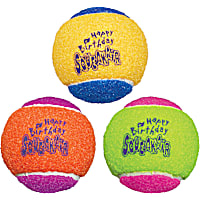 KONG SqueakAir Birthday Ball Dog Toy