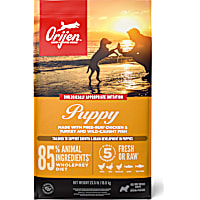 ORIJEN Puppy Recipe Grain Free High Protein Dry Dog Food